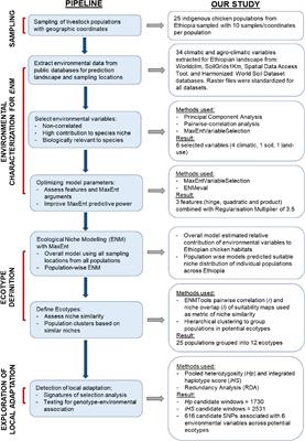 Ecological niche modelling for delineating livestock ecotypes and exploring environmental genomic adaptation: The example of Ethiopian village chicken